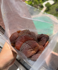 ҲûԹ½ز޺˺ӸϸΟh