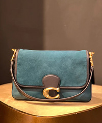 Coachޢ۰ɫʯɫǸ߼Ŀȸ