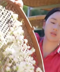 ����ߡ�װ�ͻݣ��������ͺ첻����