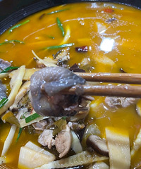 �Լ������ˣ���һ�ݶ������ò�������~~