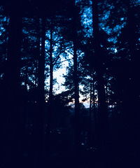 ��һ��¶Ӫ��ֻ�����Լ��������˴��˻�����ֶ�