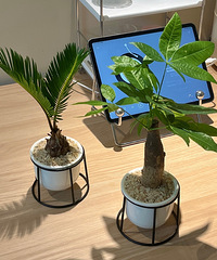 ��ʮ�������װ��һ�����䣬��ϲ��������������������