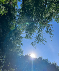 89��158CM����ҽԺ��С������飬ϣ���Է��м�ͥ���θ�