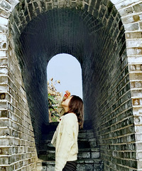 27�갮����Ӱ�ͳ�����������飬��������Ա����