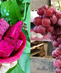 �������������˺����������ζ22.9Ԫ�����