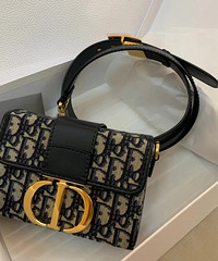 ��������һֻ�����������ǰ��ҿ�����ѡCeline����Dior