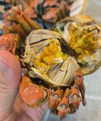 盘锦河蟹六月黄质报,顺丰隔天就到,好吃得舔手指