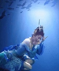 �������ӵ����������Σ������