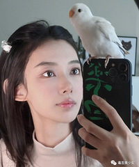 ������ǿ�е������衱�˰���