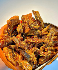 ��ľ��ˣ�����˭û�Թ�������Ƥѽ���ִ�������һ�ھͳ����㣡