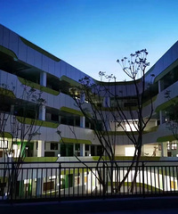 ԰ɳƺСѧ1-4꼶ѧڼ