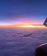 89���о���ѧ����Ůҽ�����飬������20������