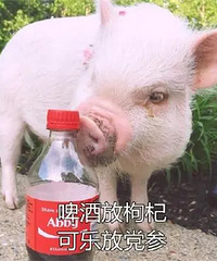 һ����˵һ�������������˰������������