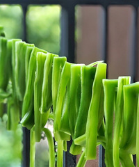 ���ܹ�������ĸ��£����ֲ˸ɶ�����ɹ����~