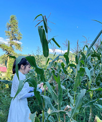 90年160CM的销售小姐姐征婚,希望对方30~36岁