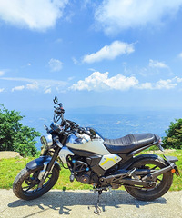 单身周末大赏:骑车、装修、拍照、健身和遛狗