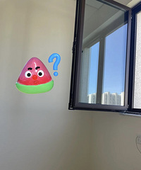我真的不能明白!为什么会有内开窗这么鸡肋的发明?