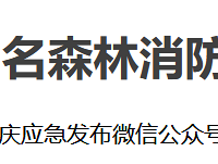 据说山火已经灭了?云南派了消防兵驰援重庆