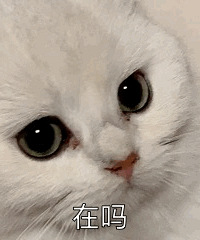 每年换季都要买一堆新衣服,大家的旧衣服是怎么处理的?
