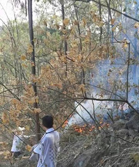点赞!西南大学师生积极参与“家门口”救火