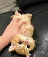 �ҵ���ĩ���ڹ����գ��ܷ�����