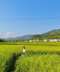 ��ĩ����Ҫ��������������ѳ�ȥ�ӽ�����Ȼ��һ�����ڼҷ���