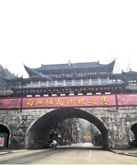 ���˸���ʦ�Ż� �ѽ�������������