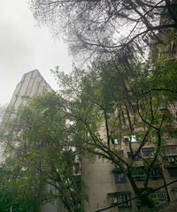 9月不会再上40度了,平均24度