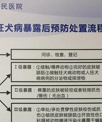做核酸遭狗抓了,对方态度这样……