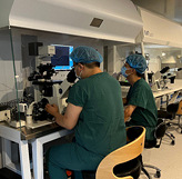 ������ֳ����ʵ����