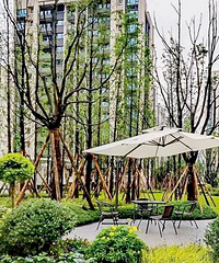 选一个城市留下来,最好的方式是买房,下叉万科森林公园精装房
