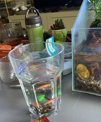 �����µ���ĩ�����ŶӺ����ԻؼҸ���׻�ˮ��լ��ߣè������ֱ��