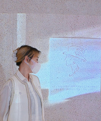 93��168CM��3ֻè�Ĳ����������飬ϣ���Է�ϲ��С����