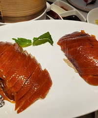 ޶��ë�ܳԵ����Ʒ�ʵĿ�Ѽ����ֻ��˵̫��ֵ��