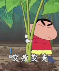 Ҫ��һ������һ����˵һ����������ײ���Ч�ı���������