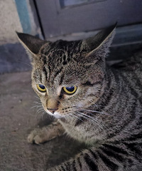 ���ڴ���δ�飬�Ұ������ʿ���