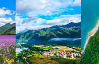 ��������������鴨������ʿ���������ܱ��ΰ�����