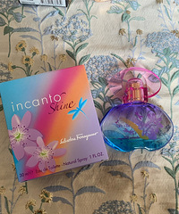 ˮӣһСľ˼ǧ飬ľ