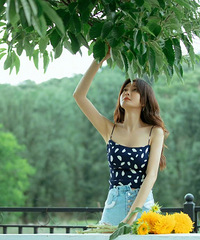 ���������Ƭ��Ư��