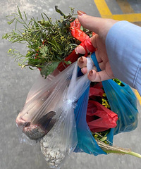 ���ӵ��ϰ������𣿶�������һ�����ǵĲ�ʳ��