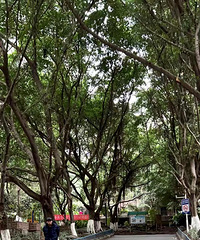 ²ϽǶַ5.5ף׼죬ڴ