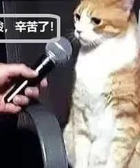 常态化核酸,你最关心的7个问题