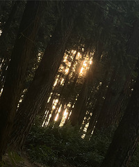 ���ԩ�ֹ����ǵĵ�һ��¶Ӫ���������ҿ϶������Ļ����