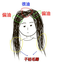 ͷ���ͷ�β�ɡ����������ճ�Ӧ����ôϴ��������ȫ�Ƿ�����