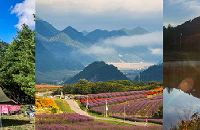 ȥ¶Ӫ컨壬дʿĸо