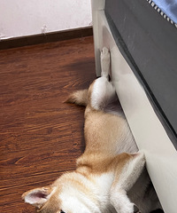 û����Ϣ����û����