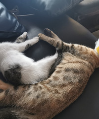 87��162CM�Ļ��㹫��Ա���飬ϣ���Է�80~90��