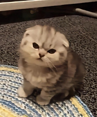 ʲôʱ����������ĺ����и����£��Ҳ������ȥҽԺȴ��֪��˭