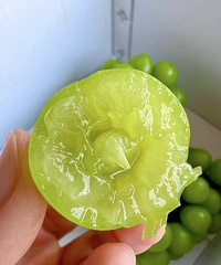 ƴ26.9õ壬ȫ³ĺܺó