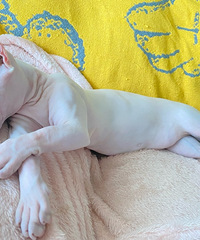 91��155CM�������С������飬ϣ���Է����ȶ�����